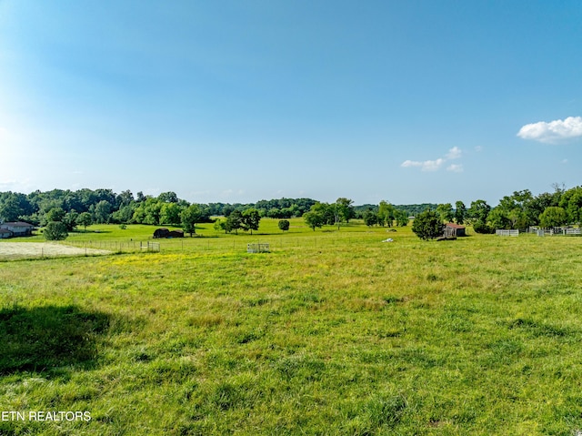 4213 Bart Giffin Rd, Maryville, TN 37803 - photo 26