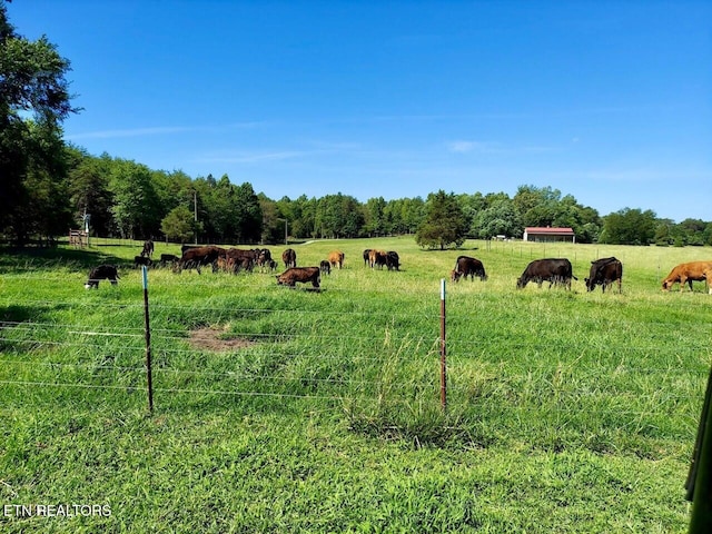 4213 Bart Giffin Rd, Maryville, TN 37803 - photo 42
