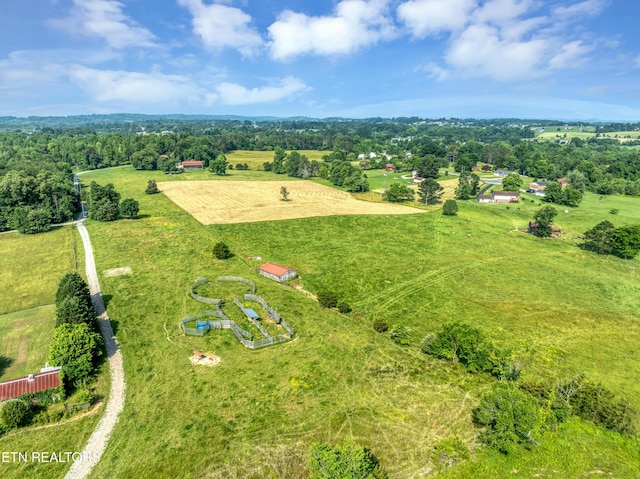 4213 Bart Giffin Rd, Maryville, TN 37803 - photo 50