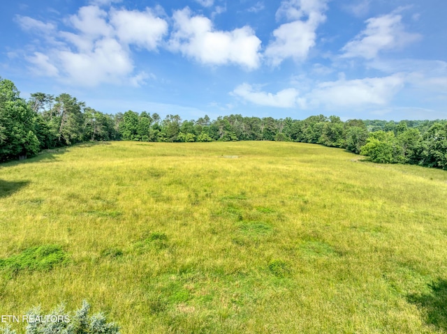 4213 Bart Giffin Rd, Maryville, TN 37803 - photo 53