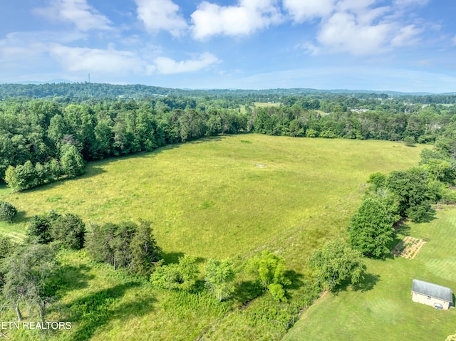4213 Bart Giffin Rd, Maryville, TN 37803 - photo 54