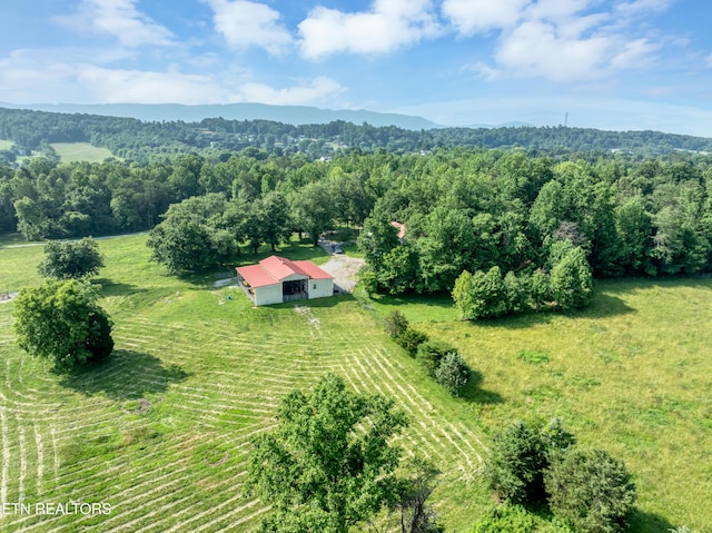 4213 Bart Giffin Rd, Maryville, TN 37803 - photo 55