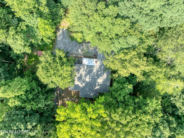 4213 Bart Giffin Rd, Maryville, TN 37803 - photo 60