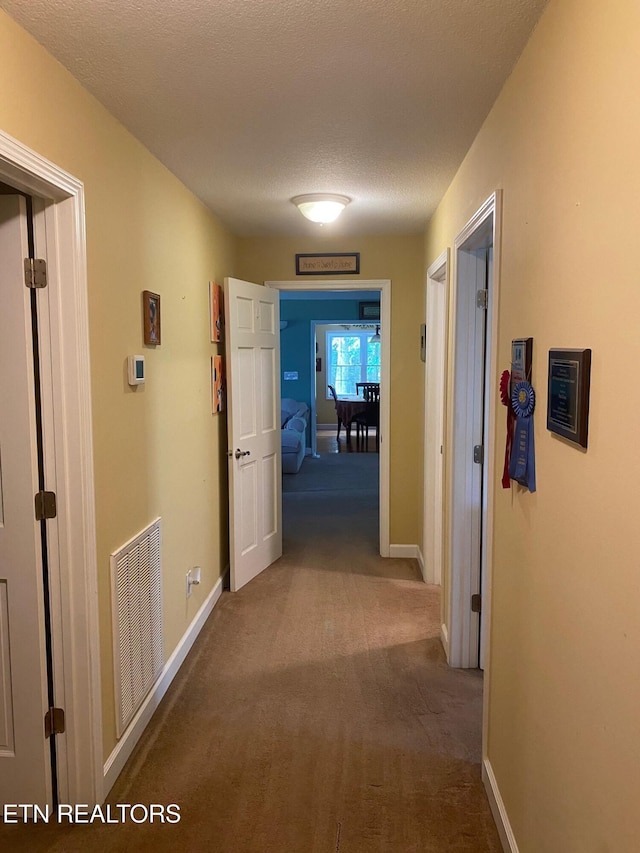 4213 Bart Giffin Rd, Maryville, TN 37803 - photo 9