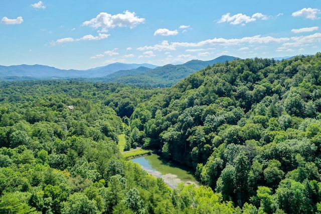 Hound Run Dr, Townsend TN, 37882 land for sale