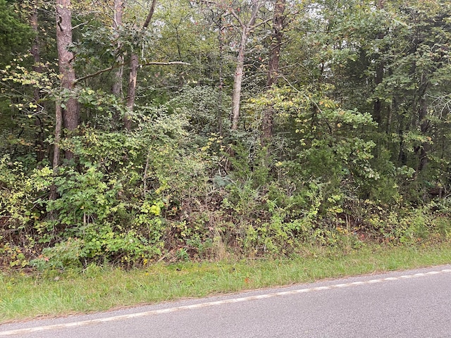 Listing photo 2 for River Rd, Ten Mile TN 37880