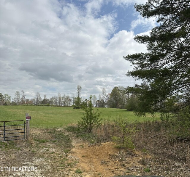 Roane State Hwy, Harriman, TN 37748 - photo 5