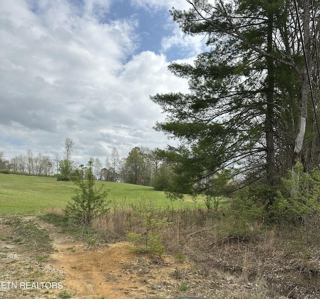 Roane State Hwy, Harriman, TN 37748 - photo 6