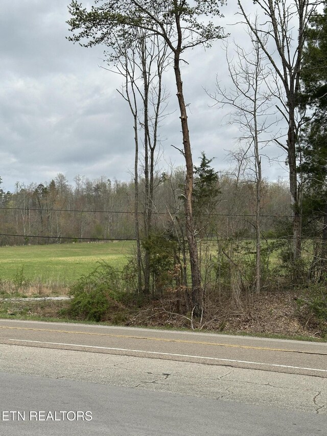 Roane State Hwy, Harriman, TN 37748 - photo 3