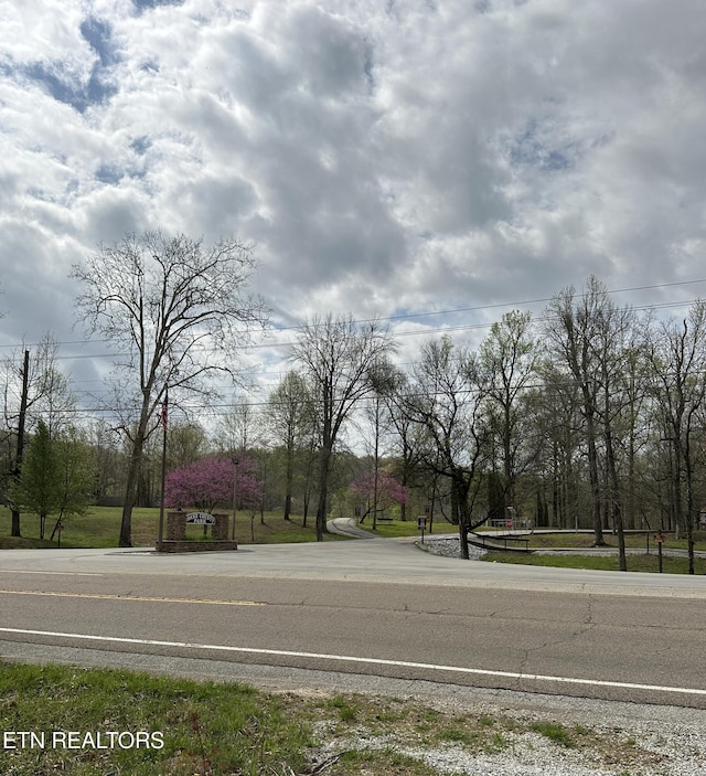 Roane State Hwy, Harriman, TN 37748 - photo 7