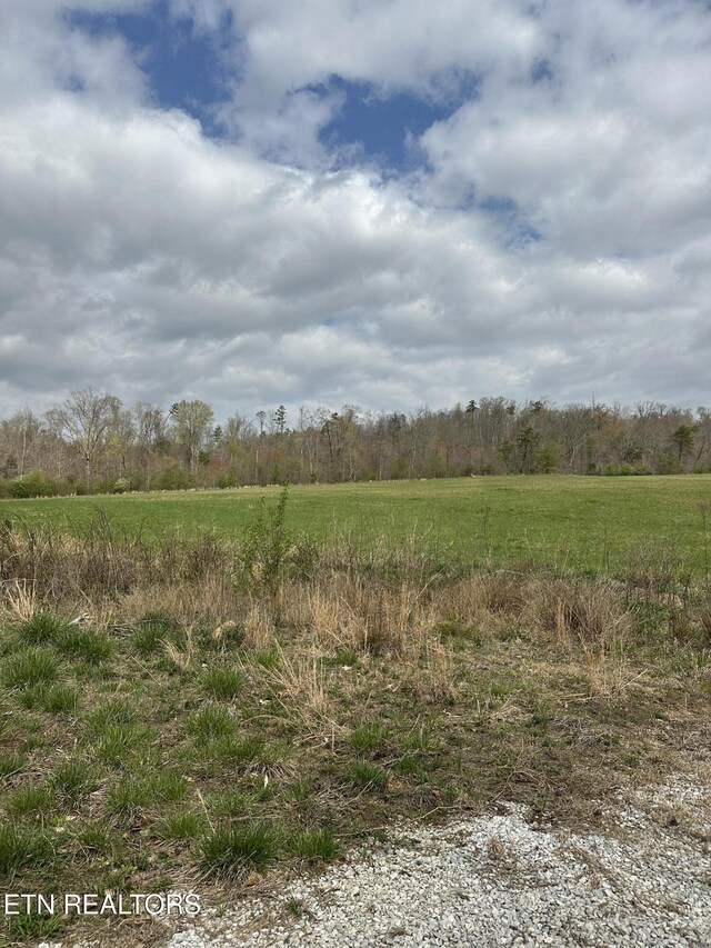 Roane State Hwy, Harriman, TN 37748 - photo 4