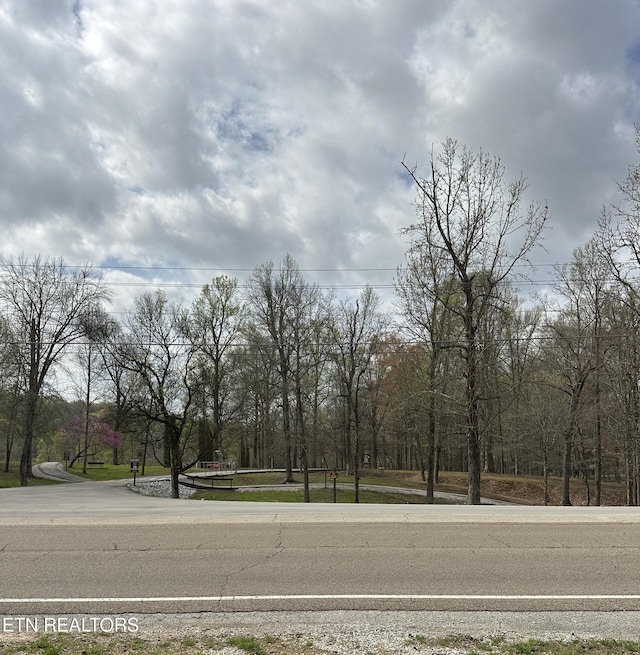 Roane State Hwy, Harriman, TN 37748 - photo 8