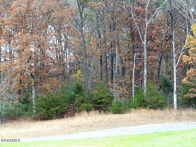 York Ln, Crossville TN, 38555 land for sale