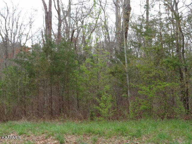 York Ln, Crossville TN, 38555 land for sale