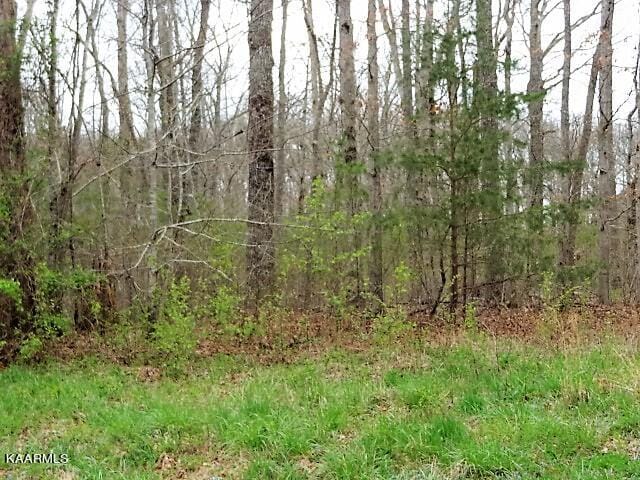 Listing photo 2 for York Ln, Crossville TN 38555