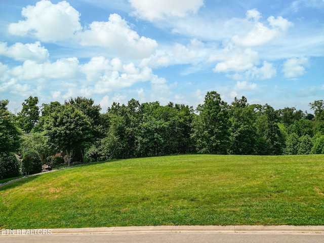 846 Taffrail Dr, Lenoir City, TN 37772 - photo 6
