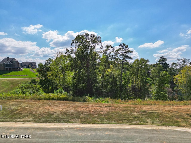 377 Beacon Ct, Lenoir City TN, 37772 land for sale