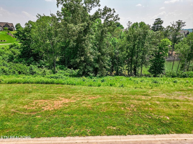 377 Beacon Ct, Lenoir City, TN 37772 - photo 3