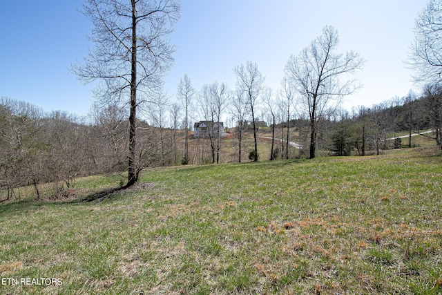 Listing photo 3 for 101 Clearwater Cove Dr, Madisonville TN 37354