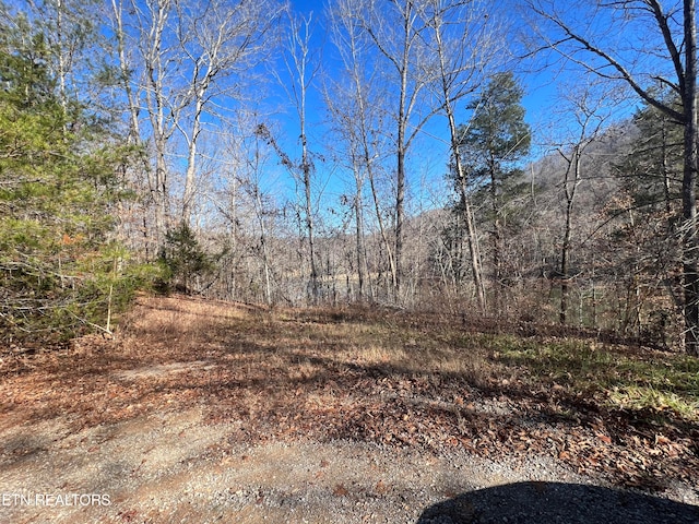 Listing photo 2 for 4LOTS Jones Ridge Rd, Speedwell TN 37870