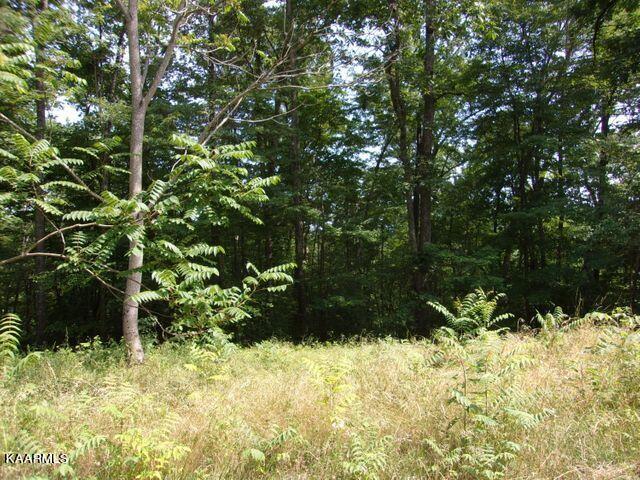 LOT254 Marble Point Way, New Tazewell TN, 37825 land for sale