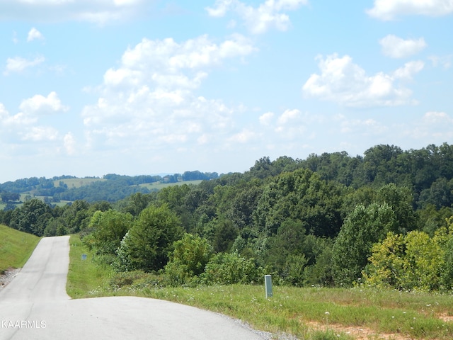 Listing photo 3 for LOT254 Marble Point Way, New Tazewell TN 37825