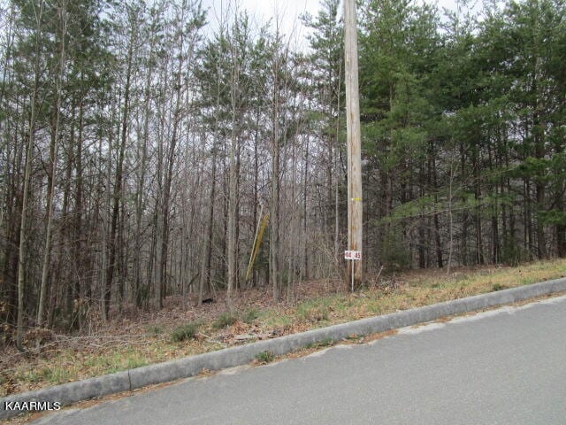 Listing photo 2 for Deerridge Dr, Rutledge TN 37861