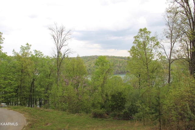 LOT559 Summer Cir, Lafollette TN, 37766 land for sale