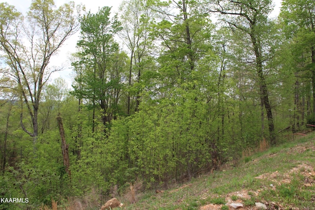 Listing photo 3 for LOT559 Summer Cir, Lafollette TN 37766