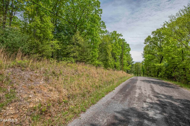 LOT215 Hickory Dr, Spring City TN, 37381 land for sale