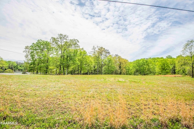 Listing photo 3 for LOT238 Hickory Dr, Spring City TN 37381