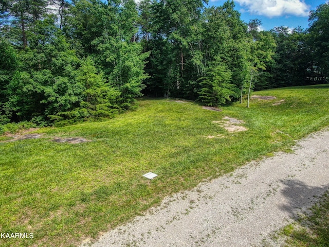 Listing photo 2 for LOT81 Cliffmont Rd, Jamestown TN 38556