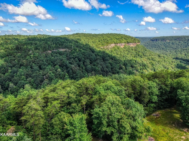 LOT81 Cliffmont Rd, Jamestown TN, 38556 land for sale