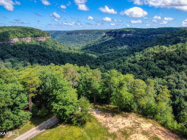 LOT83 Cliffmont Rd, Jamestown TN, 38556 land for sale