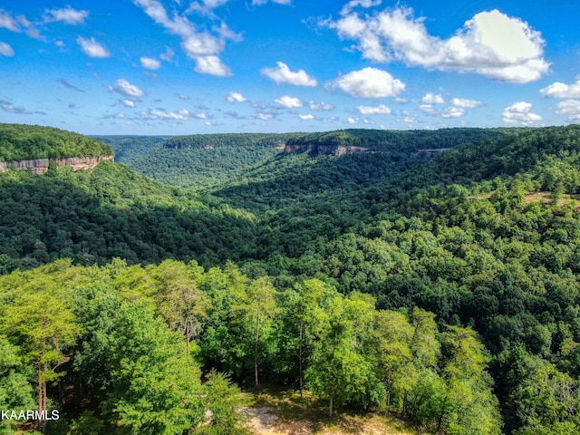 Listing photo 3 for LOT83 Cliffmont Rd, Jamestown TN 38556