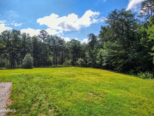 LOT86 Cliffmont Rd, Jamestown TN, 38556 land for sale