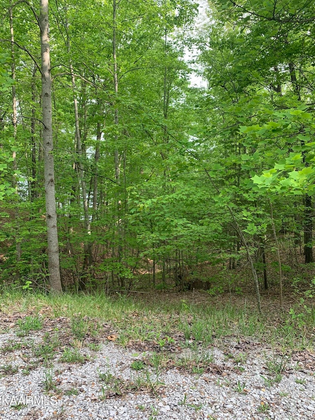 36 Milnor Ter, Crossville TN, 38558 land for sale