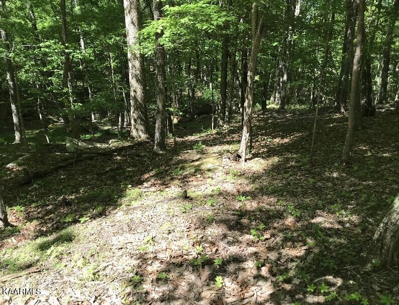 148 Springdale Dr, Fairfield Glade, TN 38558