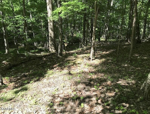 148 Springdale Dr, Fairfield Glade, TN 38558