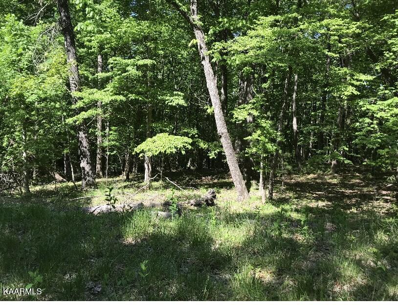 148 Springdale Dr, Fairfield Glade, TN 38558