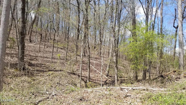 LOT286 Maple Dr, Spring City TN, 37381 land for sale