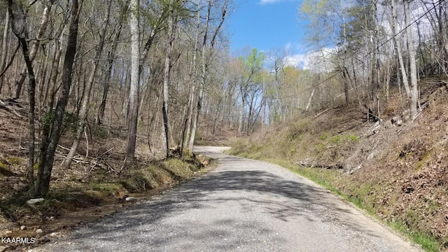 Listing photo 2 for LOT286 Maple Dr, Spring City TN 37381