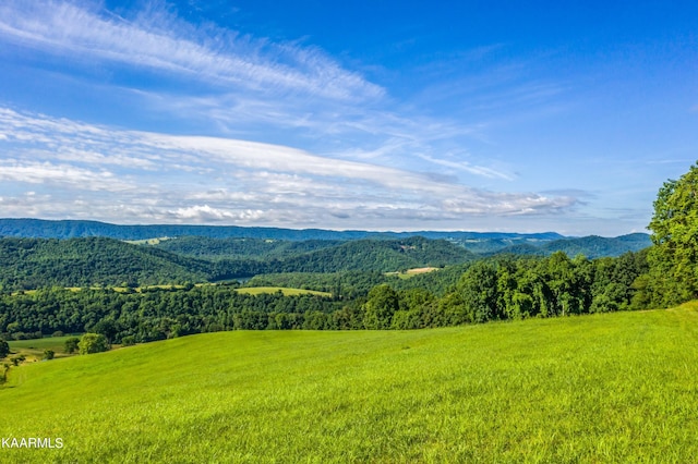 view of mountain feature