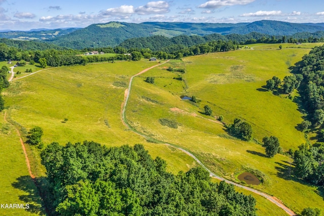 aerial view with a rural view and a mountain view