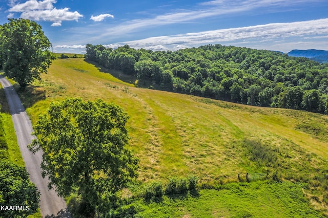 drone / aerial view featuring a rural view