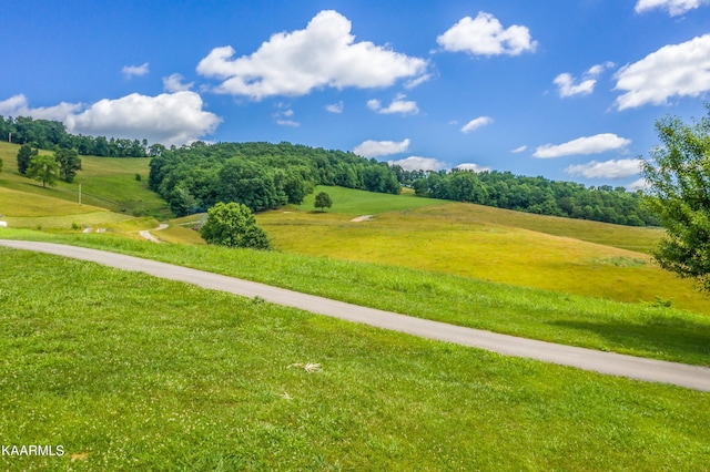 view of property's community featuring a yard