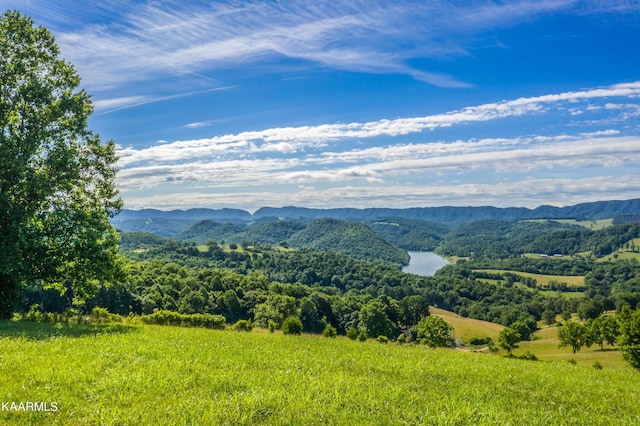 view of mountain view