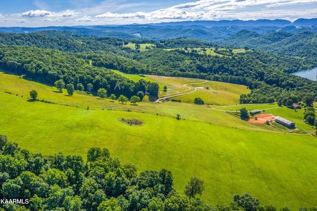 bird's eye view with a mountain view and a rural view