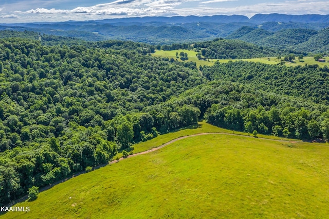 bird's eye view featuring a mountain view