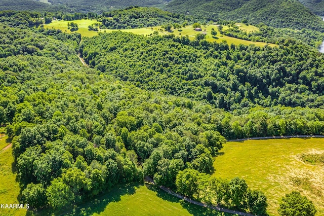 view of bird's eye view